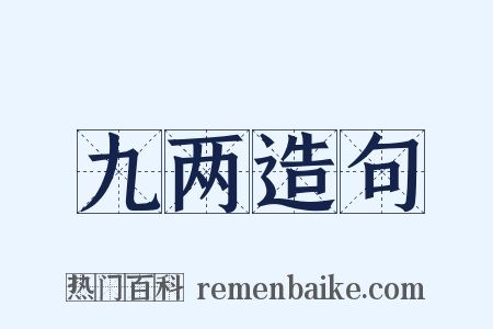 九两造句是什么意思的图片